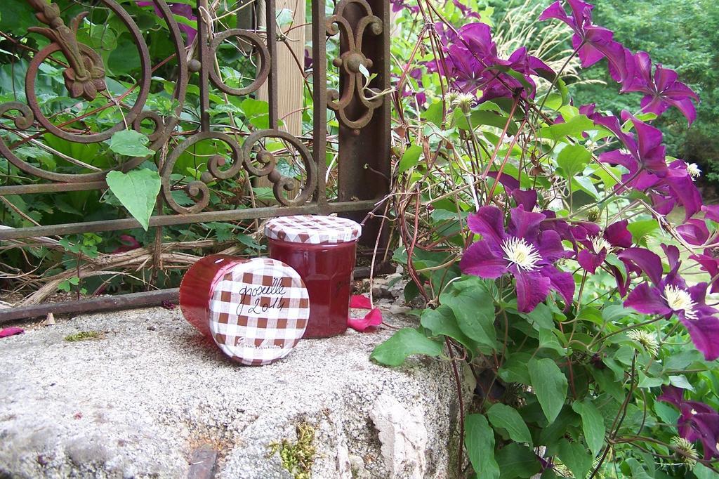 Villa Domaine De Salomony Marcols-les-Eaux Esterno foto